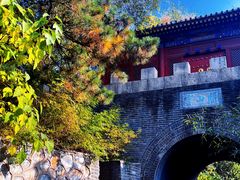 -云岗森林公园