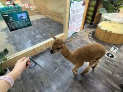 -新华书店(泉城路店)