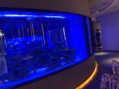 -上和臻品中国菜(花园街店)