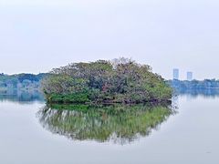 -海珠湖公园