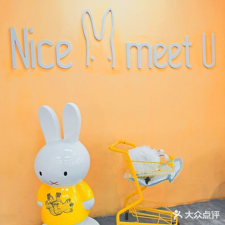 长沙探店 Nice to meet u  萌兔体验馆