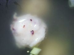 -永和大王(春日上新·阜成门店)