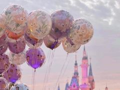 -上海迪士尼度假区