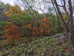 -玉渡山自然风景区