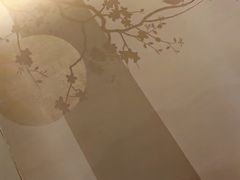 -华夏良子·足道SPA艾灸(翠微店)