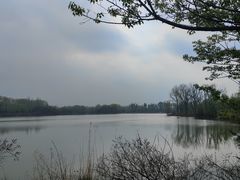 -翠湖国家城市湿地公园