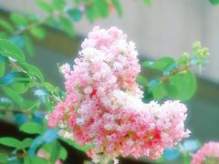 -杭州城北体育公园