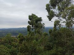 -神光山国家森林公园