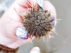 -东戴河风景区-止锚湾