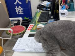 -芭比堂动物医院(广州爱宠下渡路分院)