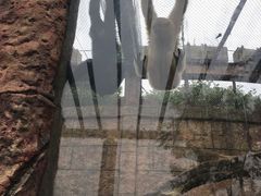 -南昌动物园