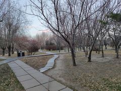 -长春公园(普阳街道)