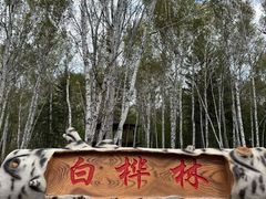 -茅兰沟国家森林公园