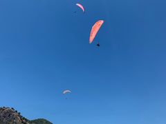 -费特希耶滑翔伞