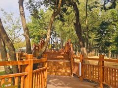 -日照灯塔风景区