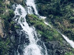 -磐安舞龙峡景区