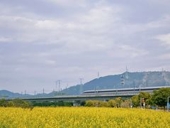 -光明小镇欢乐田园