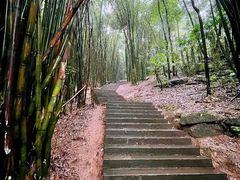-凤栖山