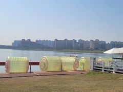 -九龙湖公园