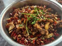 -食神又名厕所兔