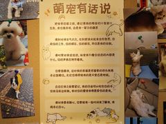 -翊宠yipet猫狗购宠庄园犬舍•猫舍