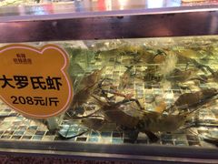 -美食小镇·观赏珍稀鸟类·长隆熊猫酒店