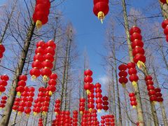 -东平国家森林公园