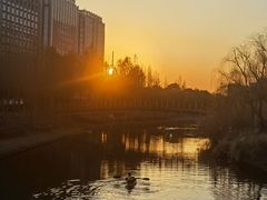 -南翔镇银翔湖公园