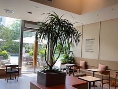 -Peet's 皮爷咖啡(海雅缤纷城店)