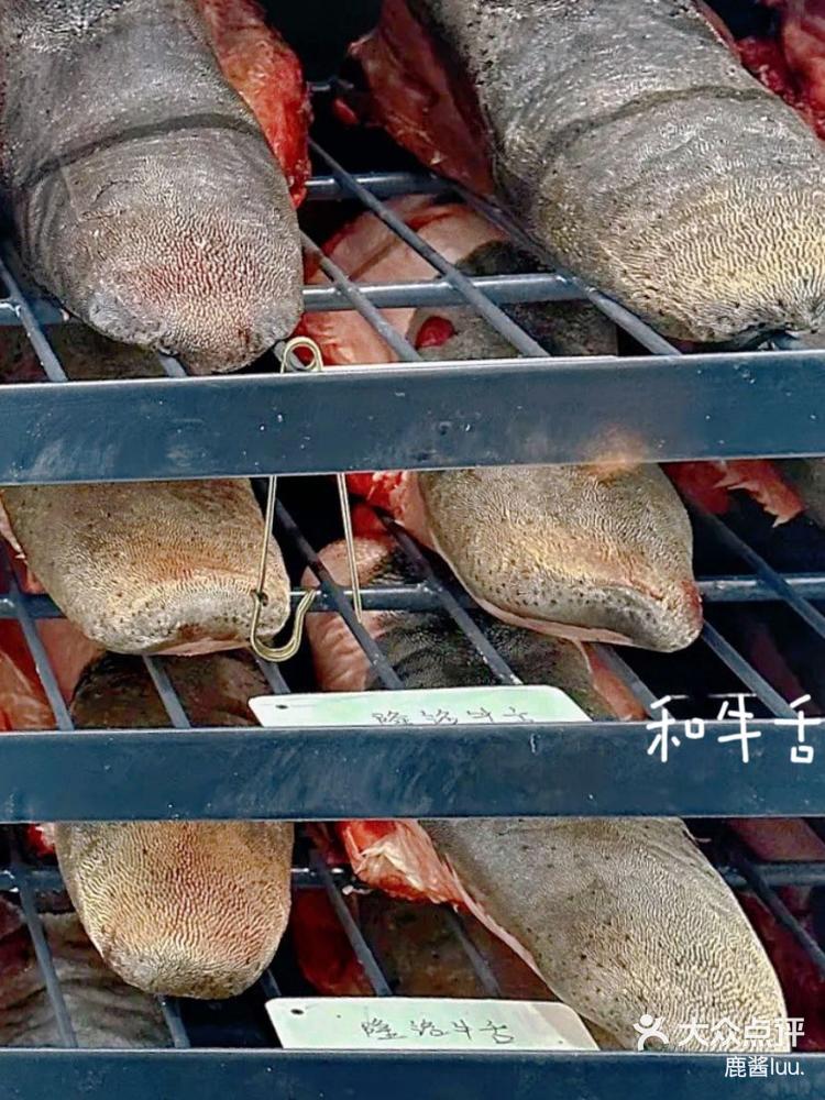 牛五是什么(牛吾是什么字)