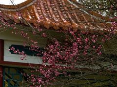 -石峰公园