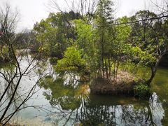 -西溪国家湿地公园