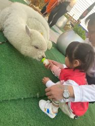 -萌宠亲子动物乐园(槐房万达店)