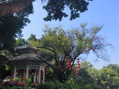 -荔湾湖公园