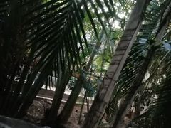 -龙达温泉生态城