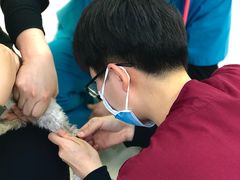 -美联众合动物医院·24h京西诊疗中心