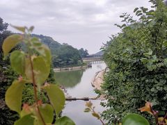 -广州市帽峰山景区