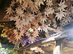 -城墙拐拐火锅(三峡广场黑金冠店)