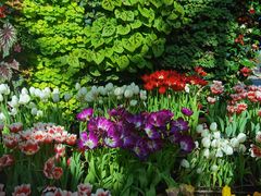 -石家庄市植物园