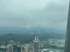 -瑞吉酒店·The Drawing Room闲逸廊·云端下午茶·夜奢Whiskey