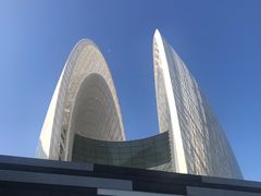 -野狸岛