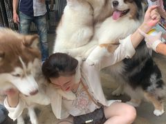 -TrueLove @ Neverland (Husky Cafe)