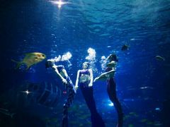 -福州罗源湾海洋世界旅游区