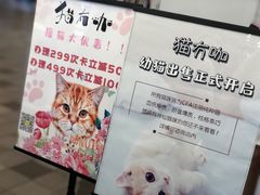 -猫冇咖·家门口的撸猫馆(大融城店)