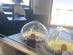 -ChanDu躔度咖啡(灯塔店)