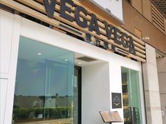 -VEGA VEGA 我行我素
