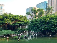 -九龙公园