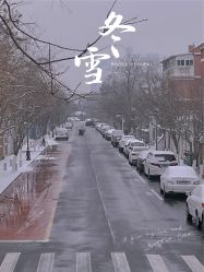 -艾米丽儿童摄影