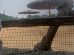 -杭州野生动物世界