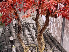 -蘭奢雅集·江浙菜(青山江滩店)